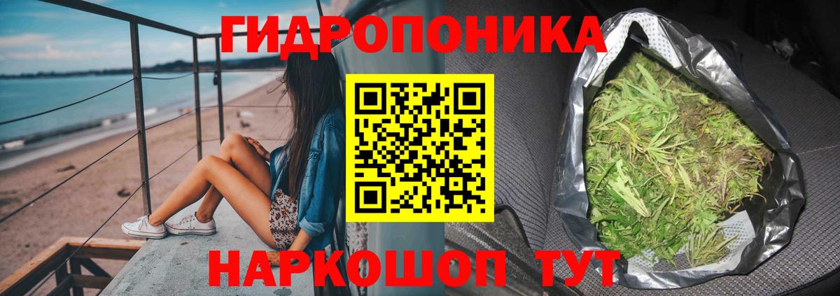 Конопля OG Kush  Вход с VPN  Чайковский  Марихуана конопля 